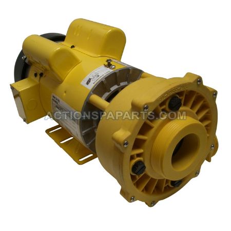 Picture for category Coast Spa Pumps