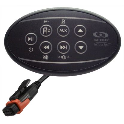 0707-005015  Control Panel    Gecko    Auxiliary Audio Keypad    In.k175