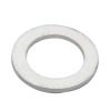 100-643  Air Injector Gasket    Coleman