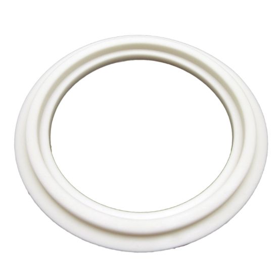 21619Gasket O-Ring Balboa Heater