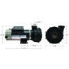 48WUA2002C-II Hot tub   Pump Assembly    LX    48FR    230V    2 SP    2.5 .0HP    10.0/3.0A    2