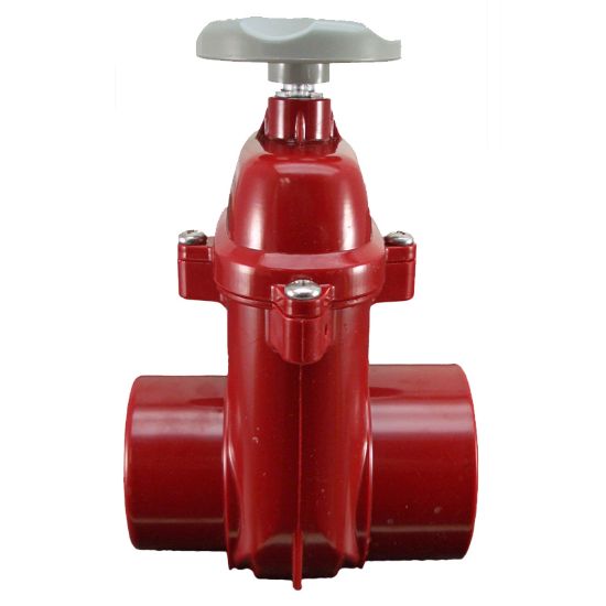 600-2304  Gate Valve    2-1/2