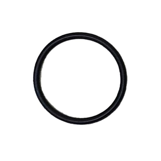 6000-029  Air Control    O-Ring    Dual