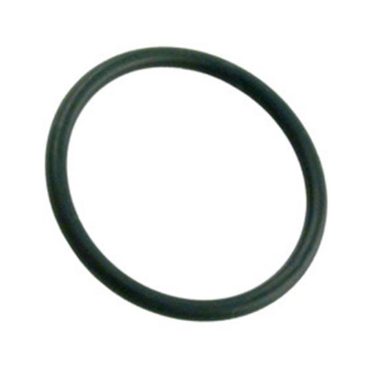 805-0123  O-Ring    Waterway    1