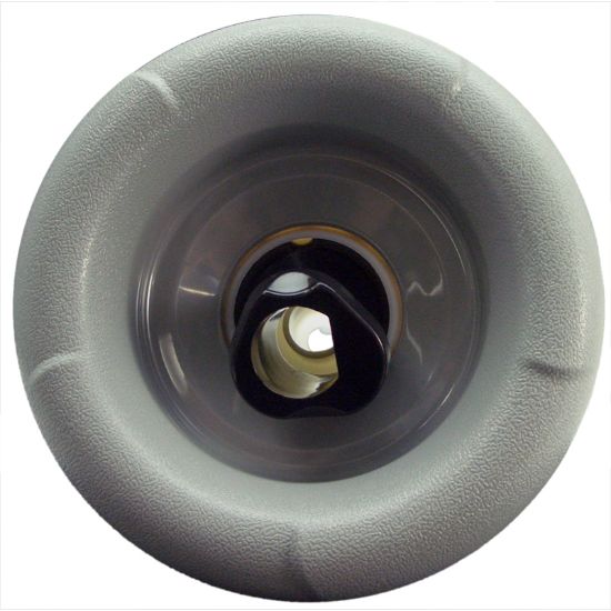 X242420  Jet Insert    Master Spa    Pentair    Swirl Rotary    Black / Gray 5